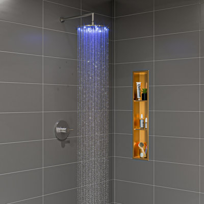 Pomme de douche fixe Rain