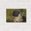 «Border Collie Garden» par John Silver