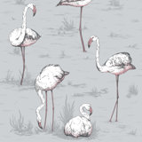 Flamingos Wallpaper Roll