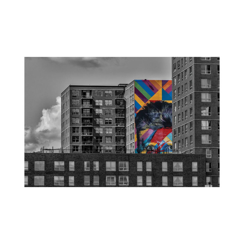 Peeking Out by David Gardiner - Gallery-Wrapped Canvas Giclée on Canvas, Wrapped Canvas, 20.32 cm H x 30.48 cm W