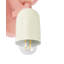TOPI Wall Sconce