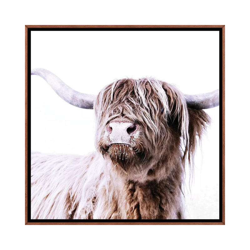 «Highland Bovins Frida I Square» par Monika Strigel - reproduction, Pas de tapis, H 26 po x l 26 po x P 1,5 po