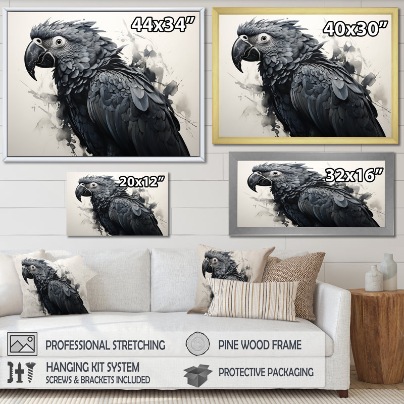 " Gray Parrot Feathered Elegance ", 12" H x 20" W x 1" D, Black Picture Frame