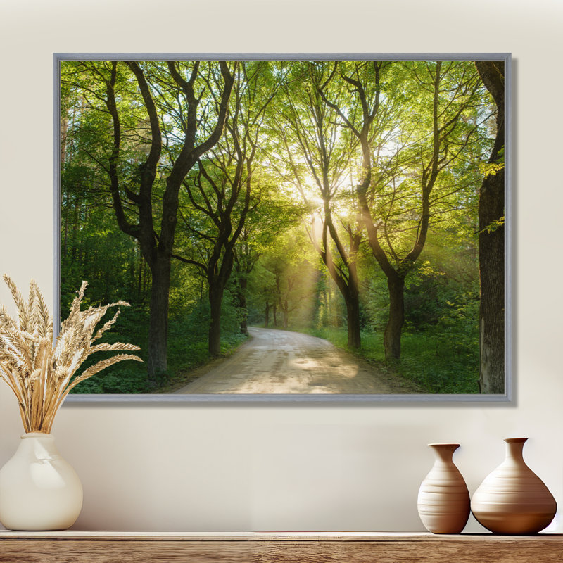 Evening in Green Forest - Photograph, 12" H x 20" W, Silver Floater Framed