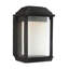 McHenry 1 - Light LED Outdoor Wall Lantern-642775954