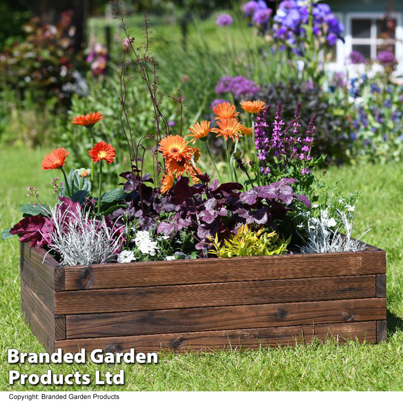 Maisie Wood Raised Flower Bed 110x90cm (x2), 86Cm H x 27Cm W x 24Cm D