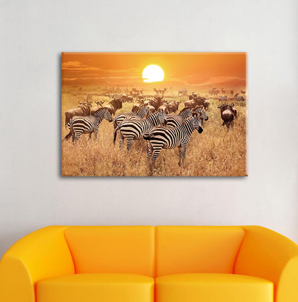 Leinwandbild Zebra Herd Savannah at Sunset