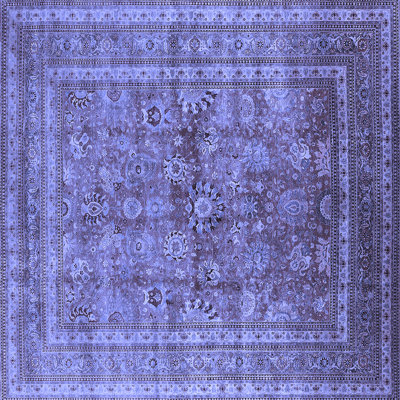 Oriental Indoor Rug