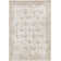 Oriental Indoor Rug