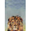 Bonjour Bonjour II, reproduction sur toile tendue-27175525