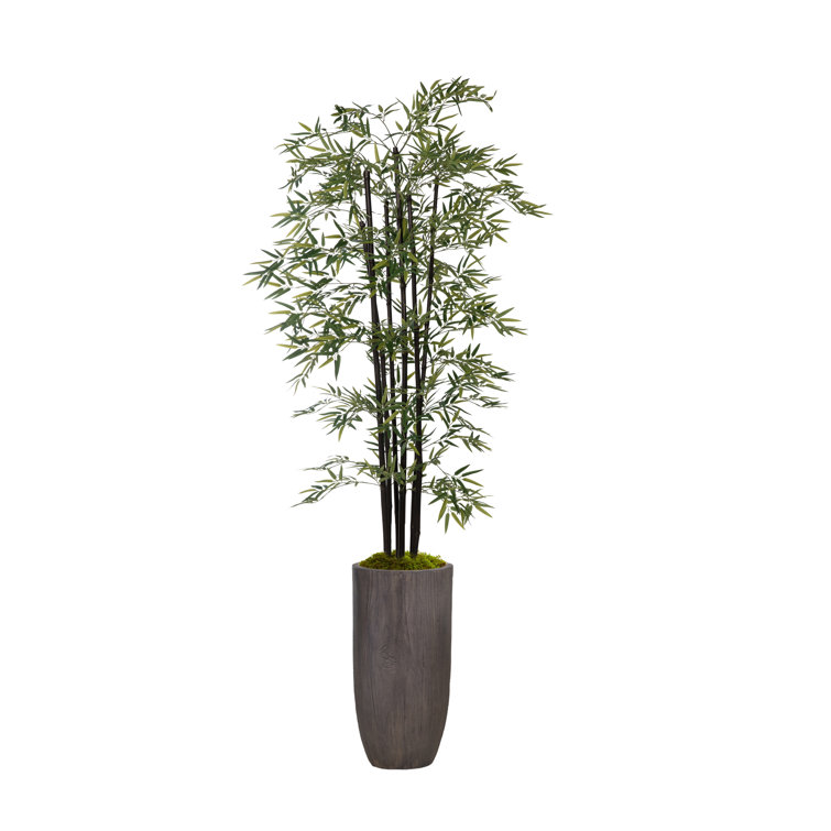 Panama 94.25'' Faux Bamboo Tree in Fiberstone Planter