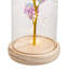 Cloche Or Water Globe-1360299750