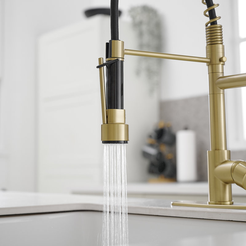 Pull Down Single Handle Kitchen Faucet with Accessories, Brushed Nickel