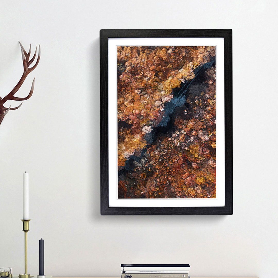 Forest in Piedimonte Matese Italy - Framed Print