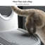 Rampe pour chat avec rangement, marches robustes et stables pour la litière à nettoyage automatique