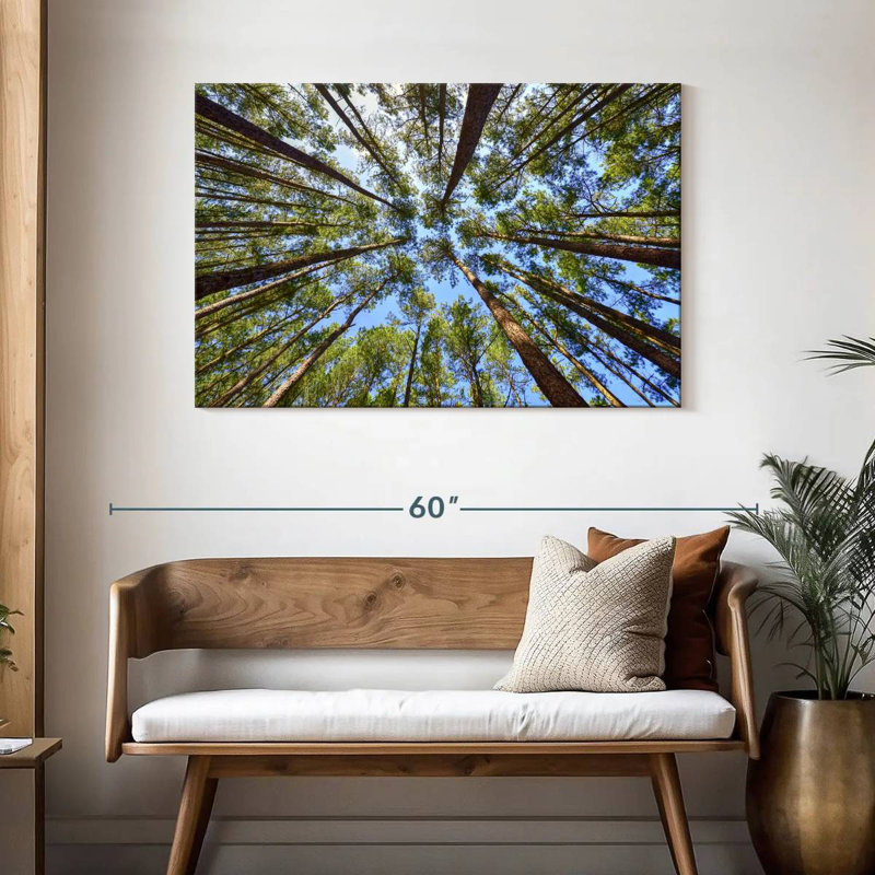 Harnek Towering Pine Trees, 30" H x 45" W