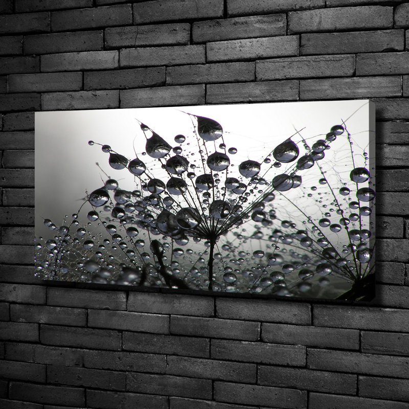 Dandelion Seeds - Wrapped Canvas Print, Canvas, 50cm H x 100cm W
