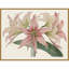«Amaryllis Varietals I» par Bette Ridgeway, reproduction d'art sur toile encadrée-251686292