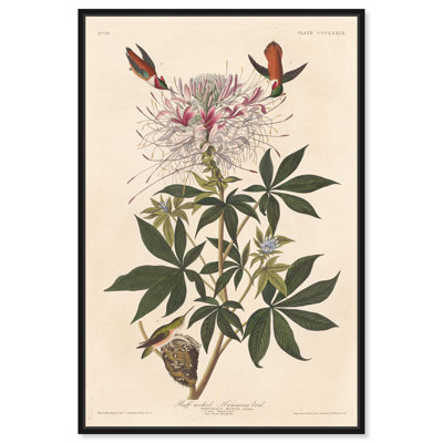 Art Remedy, reproduction d'art sur toile, colibri à col roulé
