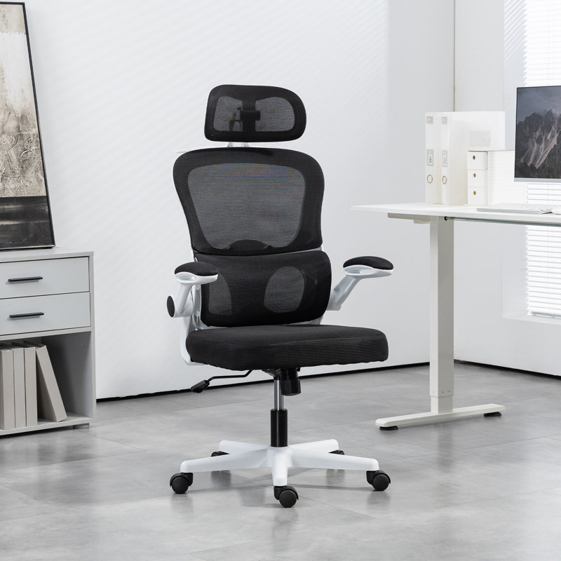Chaise de bureau ergonomique, chaise de bureau en filet avec support lombaire, noir