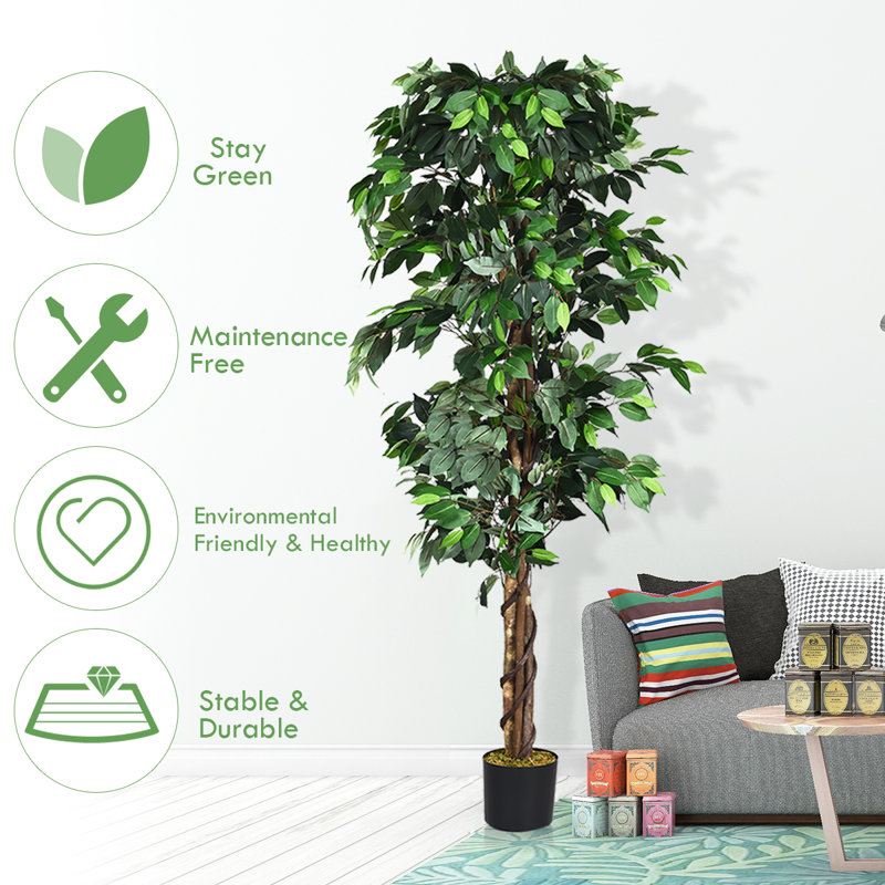72'' Faux Ficus Tree in Pot