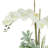 Polysilk Orchid Arrangement in Pot