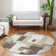  Chayden Non-Slip Indoor / Outdoor Area Rug