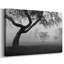 Into the Mist - galerie enveloppée Cavas-306060164