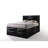 Lochian Storage Standard Bed-234533636-219091518