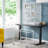 Setzer Iron and Steel Flat Top Floor Bird Cage with Wheels with Stand with Perch with Tray-879094747