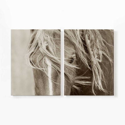 Gaceful Majesty | Impression sur toile 2 panneaux | Dimensions combinées de 40 po x 60 po