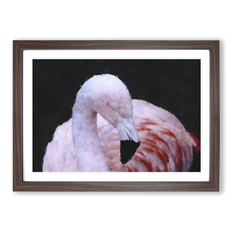 Pink Flamingo Vol.1 - Framed Print, 27cm H x 36cm W x 2cm D, Walnut Framed