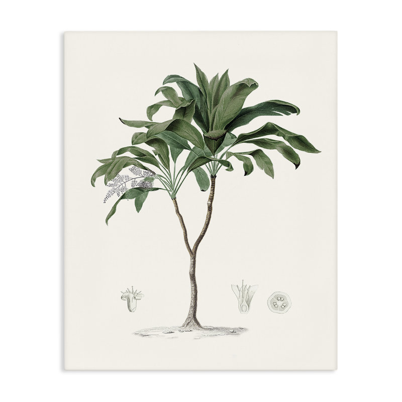 «Coastal Palms», toile par Val Rhodes, H 30 po x l 24 po
