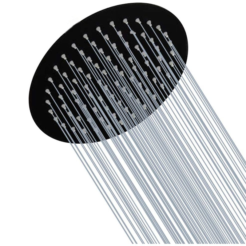 Pomme de douche 8 po