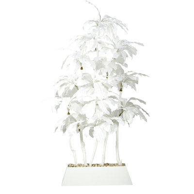 Birdnest palm dans un pot de fleurs rectangulaire