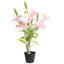 Artificial Plant LILIARIUM 85 cm Pink