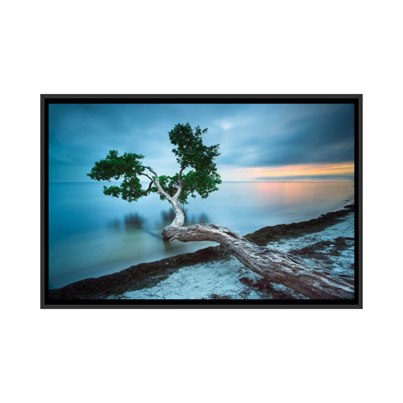 «Water Tree 10 Color», impression sur toile tendue, H 18 po x l 26 po x P 1,5 po, Toile avec cadre noir, Pas de tapis