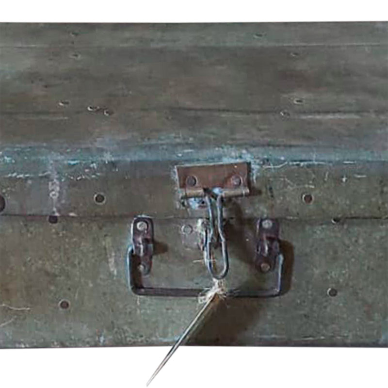 Grebasch Vintage Trunk