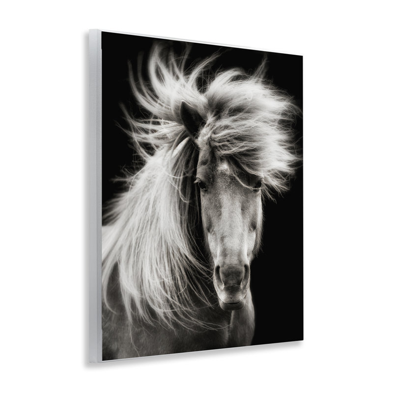 «Mane Horse», art par PHBurchett