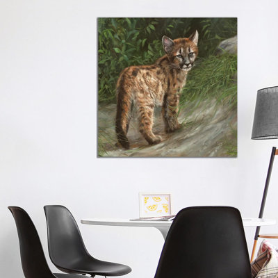Cougar Cub 1 Piece Painting on Canvas