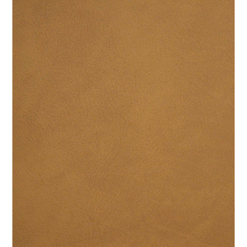 Performance Fabric, Noisette