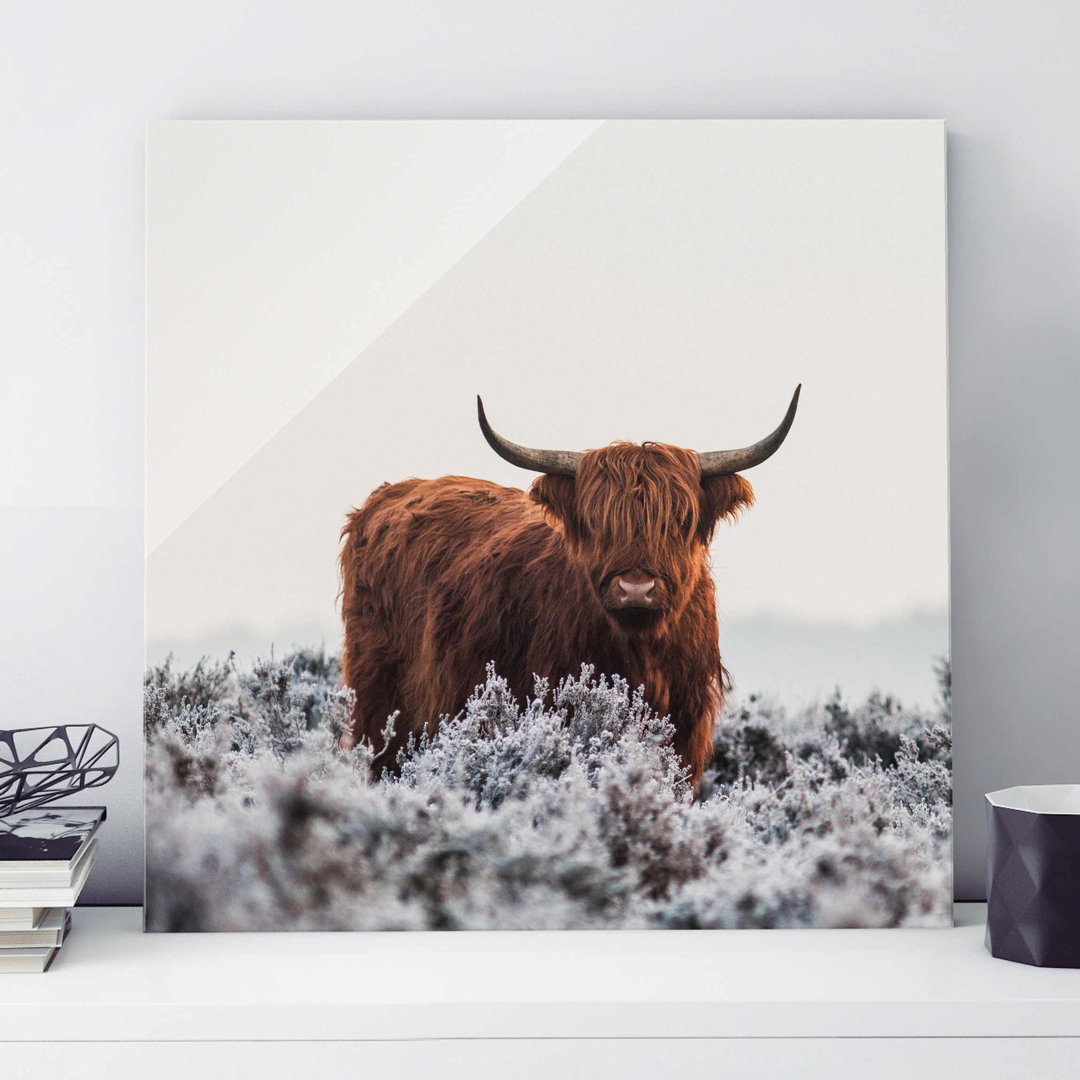 Glasbild Wisent in den Highlands