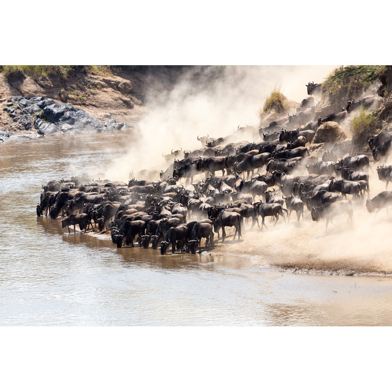 «Great Gneest» au Kenya par 1001, H 32 po x l 48 po