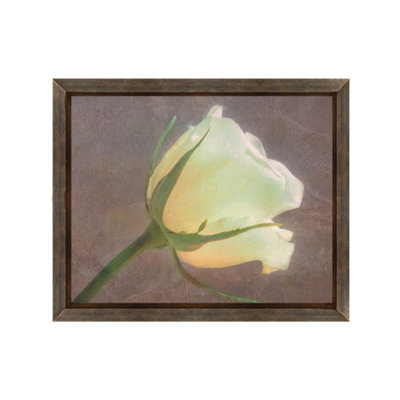 Rosewall par Hal Halli. Impression sur papier - Montée et encadrée avec de l'acrylique transparent