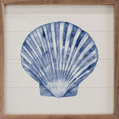 Coquille bleue 3