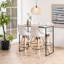 Ailpein Metal Base Dining Table