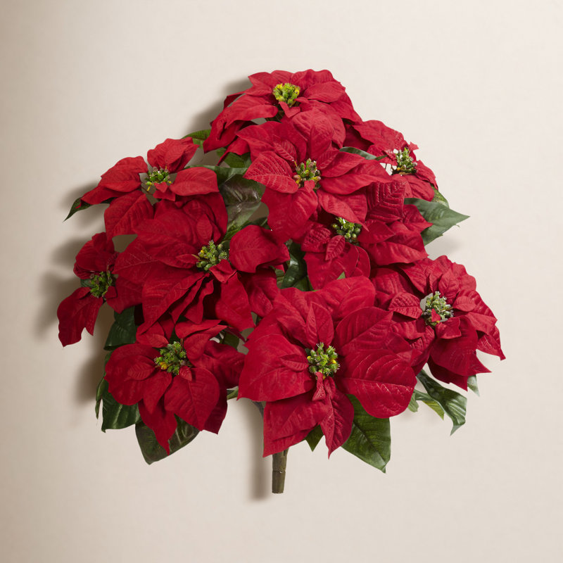 Arrangement floral poinsettia, Red