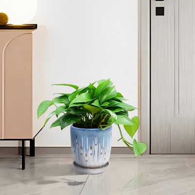 Pot à fleurs en céramique blanc bleu de 8 po, construction renforcée, trou de drainage, convient aux aménagements intérieurs et extérieurs de pots de fleurs en bleu, intempéries, drainage intégré, rebord de fenêtre
