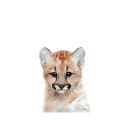 Baby Mountain Lion - Painting on Canvas