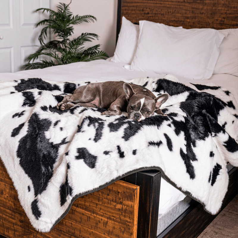 King Size Black and White Faux Fur Pet Blanket